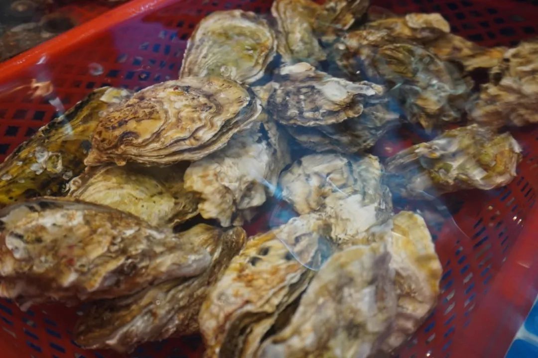 DSC02574.JPG