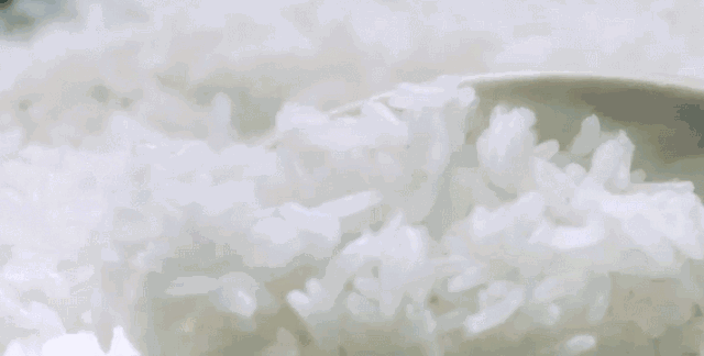 【黑龙江特产·舌尖上的中国拍摄地·东北五常长粒香米】软糯香甜,营养更丰富!仅49.9元抢价值68元东北五常长粒香米!颗颗晶莹剔透,软糯Q弹,米中精品~