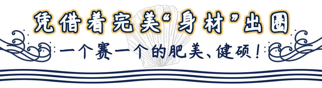 爆款二推!【无需预约|地铁2号线直达·伊美大酒店1楼·蒸食荟蒸汽海鲜】“鲜”气缭绕的蒸汽海鲜!仅158元即享门市价406元的蒸汽海鲜3-4人餐!大闸蟹四只+罗氏虾半斤+美贝一斤+龙利鱼一份+生蚝半打+口水鸡+鲜虾西葫芦水饺+西湖藕遇等超多菜品“蒸”服你的海鲜“胃”~周五需提前致电商家预约