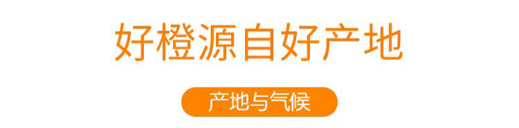 【千千生鲜|麻阳长寿橙·一口爆汁】比喝橙汁还过瘾!19.9元=5斤抢门市价39.9元麻阳长寿橙!鲜甜可口,丰盈多汁!新鲜现摘