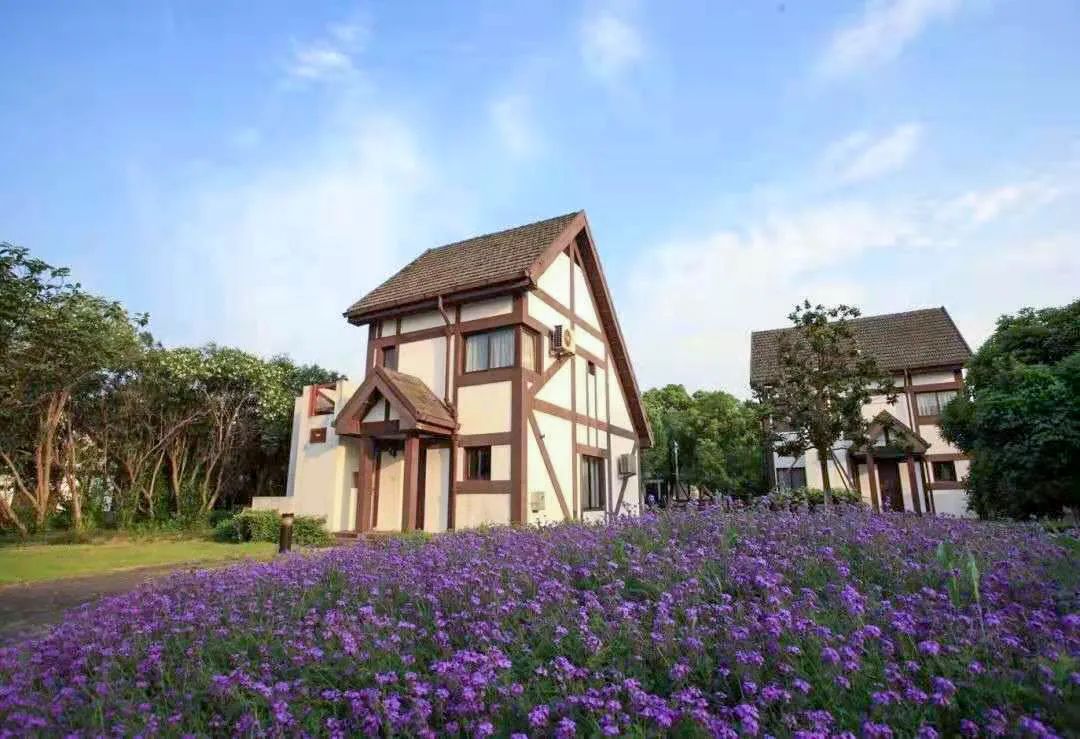 一岛一酒店!打卡160多万㎡魔都后花园!999元抢【上海太阳岛度假酒店】单晚/两晚度假套餐!亲子、萌宠、国风、温泉一键get~