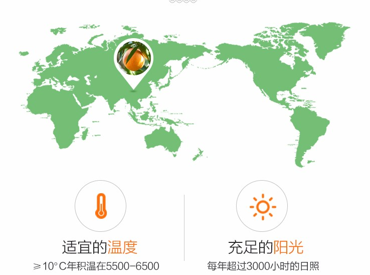 【可以“喝”的橙子】肉脆汁多,香味浓郁!19.9元=大果净重5斤,抢49元【秭归脐橙】产地现摘现发!皮薄肉厚、口感清甜多汁~