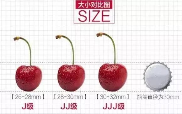 【上海永辉33店通用·预售智利J车厘子】299元=10斤!深冬尝“鲜”,高甜预警!脆嫩多汁的J智利车厘子来袭!肉厚核小,口口爆汁!