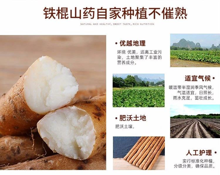 千千生鲜神仙之食山中之药食中之药仅288元5斤装抢铁棍山药产地直发