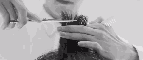 【可叠加使用,不限购|派时尚HAIRSALON|四店通用】你的专属美发沙龙,一路飒出火花带闪电!仅118元抢洗剪吹1次+菲灵染/烫(2选1)1次+头皮隔离护理1次,新年焕然一新,从“头”开始~