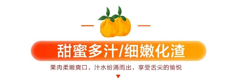 【千千生鲜丨国家地理标志产品-四川不知火丑橘】“柑橘皇后”,好吃不上火!仅29.9元=净重8.5-9斤抢价值79元不知火丑橘!一口爆汁,肉质鲜嫩,爽口化渣!