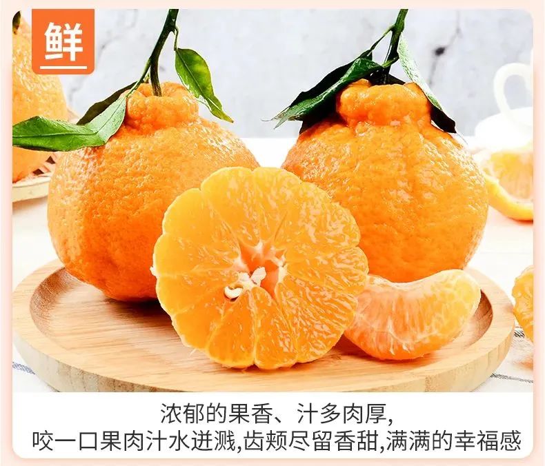 【千千生鲜】果肉饱满,果粒充盈水嫩,富含超多VC!29.9元=大果5斤,39.9元=大果9斤,抢【正宗四川不知火丑橘】,原产直达,品质保证!