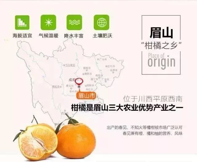 【千千生鲜】果肉饱满,果粒充盈水嫩,富含超多VC!29.9元=大果5斤,39.9元=大果9斤,抢【正宗四川不知火丑橘】,原产直达,品质保证!