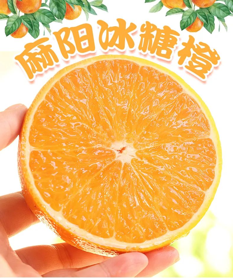【方联与您一起嗨购双12|基地抄低价直供】仅14.8元=5斤,19.9=9斤抢麻阳冰糖橙!冬季维C之王,纯甜爆汁,比喝橙汁还过瘾