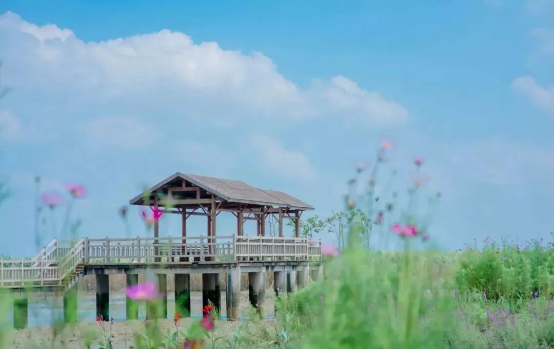 【全家欢乐游 踏青好去处】承包一座岛,吃住玩全含~399元抢超值2大1小亲子套餐!双山岛涵田高尔夫度假村双床房+自助早餐+家庭美食套餐1份(晚餐/自助晚餐)+高尔夫体验+自行车骑行...可以乘坐快艇,从繁华的城市开往纯净的江上慢岛~快和家人一起去赴一场自由惬意的约会!