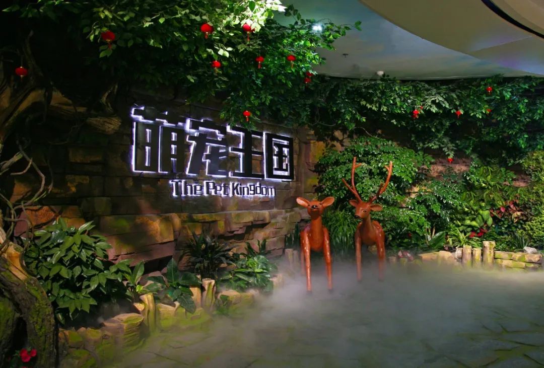 【西北shou家·室内动植物主题·亲子互动乐园 】3500㎡+60余种动物+100余种绿植蔬果~98元抢【Mini Zoo 萌宠王国】1大1小亲子票~138元抢2大1小家庭票!全实景打造,还原动物生态家园~
