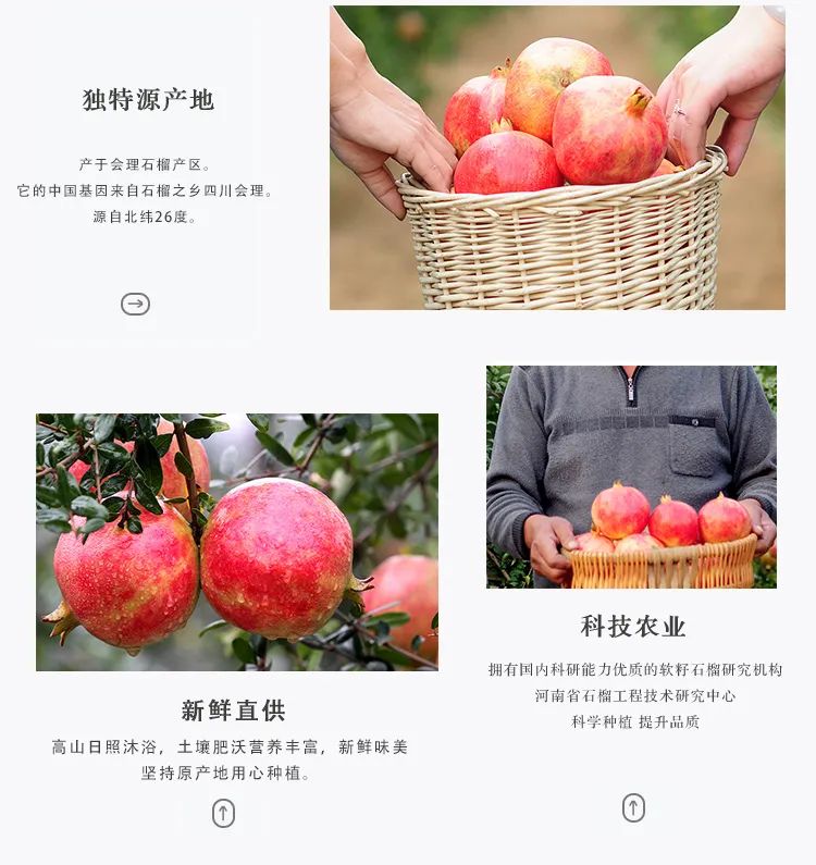 【今年最后一批会理石榴 |可以喝的“雅诗兰黛”,吃1个=1次皮肤保养】仅29.9元=5斤抢门市价39.9元会理突尼斯软籽石榴,汁多味甜,一口爆汁,公认的美容养颜佳果~