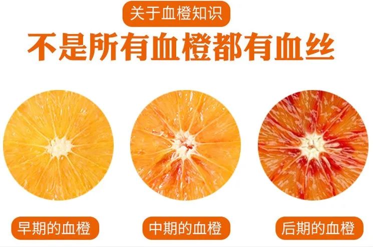 【口感号称橙子界的“劳斯莱斯”| 四川·塔罗科血橙 】仅18.8元=5斤特惠装,28.8元=9斤大果特惠装,34.8元=9斤大果礼盒装,果肉滑嫩Q弹,伴有淡淡玫瑰香~汁水丰富,现摘现发!丰富维C,增强抵抗力!番茄红素、胡萝卜素等,促进血液循环,改善手脚冰冷、贫血等状况;彩箱装送手提绳,健康送礼佳品~