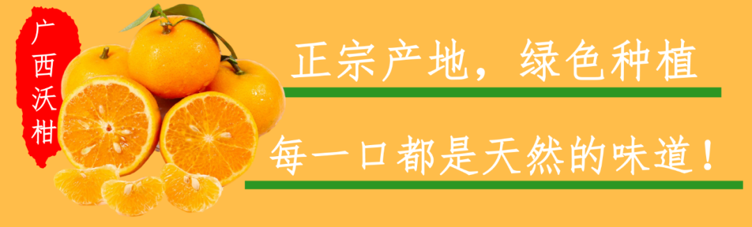 【千千生鲜 | 柑中贵族】水果界的“甜水炸弹”!19.9元/29.9元=5斤/9斤抢【广西沃柑】,一口爆汁甜上心头!皮薄肉嫩!