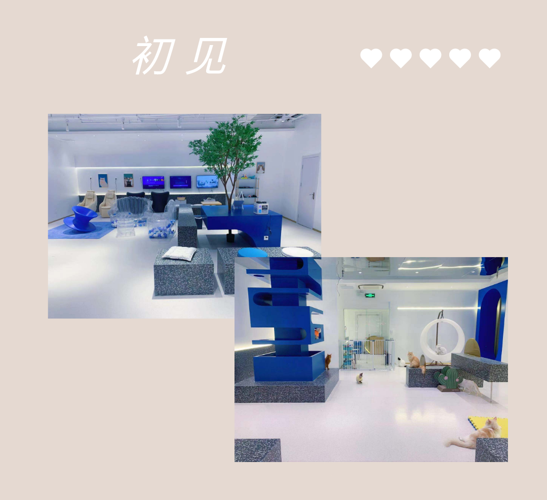 【无需预约·初见猫咪】撸猫的乐趣谁能拒绝!仅需19.9/29.9元即可享门市价136/186元双人撸猫门票/撸猫门票饮料套餐,双人撸猫门票两张+桌游区、电玩区(PS4、任天堂switch)畅玩一个半小时+猫零食一份