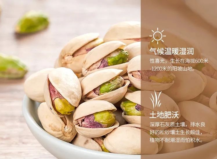 【新疆特产】【年货抄底价!限时3天!】每年疯抢的开心果,55元=4罐抢新疆本色原味开心果!果仁饱满!开口易拨,酥脆咸香!过年吃点开心果,祝大家笑口常开!