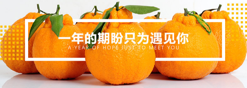 【千千生鲜丨国家地理标志产品-四川不知火丑橘】“柑橘皇后”,好吃不上火!仅29.9元=净重8.5-9斤抢价值79元不知火丑橘!一口爆汁,肉质鲜嫩,爽口化渣!
