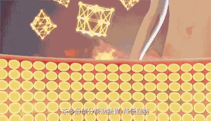 【全国到家】【YPL AI小狗裤 全网热销50W+ | 澳洲原装进口 | 光感变色黑科技】一条燃烧卡路里的显瘦神裤!79元=门市价299元的【YPL AI小狗裤】C位出道,塑型超自在;全新3D工艺,弹力包裹,立体翘臀、纤长双腿立现!全新升级,高弹舒适不紧绷,穿出维密时尚感!