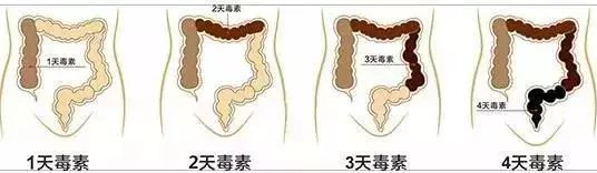 【千千特产|瘦身燃脂“神器”|一条不到1块钱】仅29.9元=40条抢门市价108元南京同仁堂【大麦若叶青汁2盒+随心杯1个】排毒、清肠、美容,肠道天然清道夫!一天一包喝出健康,明星都打call~