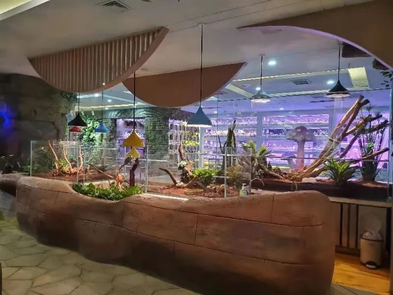 【西北shou家·室内动植物主题·亲子互动乐园 】3500㎡+60余种动物+100余种绿植蔬果~98元抢【Mini Zoo 萌宠王国】1大1小亲子票~138元抢2大1小家庭票!全实景打造,还原动物生态家园~