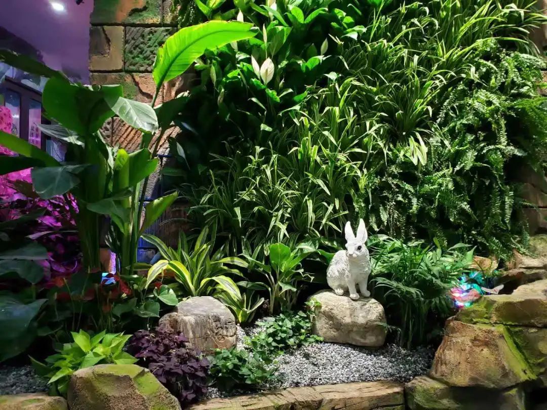 【西北shou家·室内动植物主题·亲子互动乐园 】3500㎡+60余种动物+100余种绿植蔬果~98元抢【Mini Zoo 萌宠王国】1大1小亲子票~138元抢2大1小家庭票!全实景打造,还原动物生态家园~