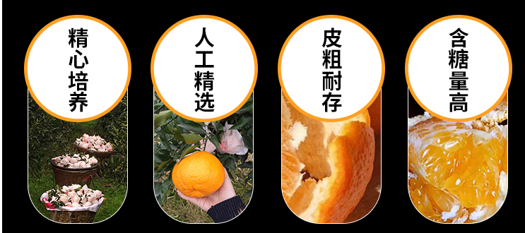 【千千生鲜携手产地直发】2021年百万补贴钜惠消费者~天然维生素 C 的春见耙耙柑!仅28.8元=净重4.8-5.2斤,规格:8-12个~口口爆汁,甜如初恋,解腻还不上火