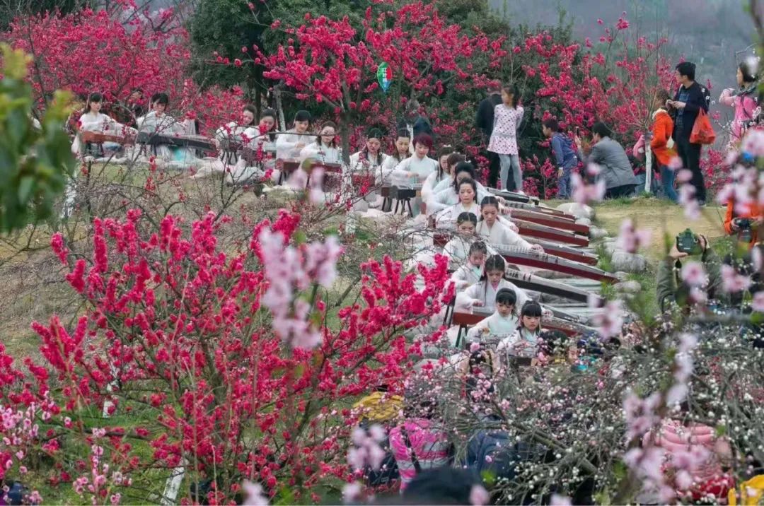 【庐山西海花源谷】赏桃花,观湖景,听涛声,现78元享门市价135【花源谷门票+游船票+观光车票】诗情画意~古筝声声观花落~~~