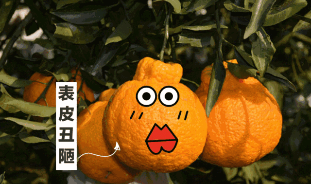 【千千生鲜】果肉饱满,果粒充盈水嫩,富含超多VC!29.9元=大果5斤,39.9元=大果9斤,抢【正宗四川不知火丑橘】,原产直达,品质保证!