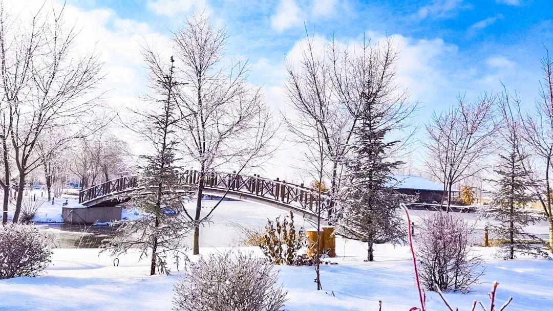 【南关区 新湖镇新兴村 | 慢山里第四纪冰川主题文化园】冰川时代雪乐园与你相见!19.9元/39.9元…享丰富雪乐园套餐,内有化石猎人,时光隧道,猛犸象剧场,雪山挑战,逃脱火山,冰川消融,双板雪板,麋鹿雪橇,冰川之眼雪迷宫,雪屋部落,非遗手工,雪地转转,冰爬犁,冰陀螺,冰上超人,雪地碰碰车,雪地球,夜晚极光...多种游玩项目,亲子游玩的好地方!
