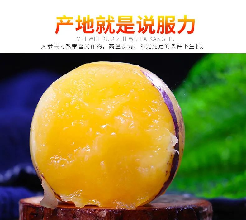 【千千生鲜】【清甜多汁,营养丰富】被称为“抗癌之王”的人参果来啦!仅28.8元=4.7-5斤!抢59元云南石林人参果!产地直发~